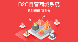 上海B2C商城系统哪个好?