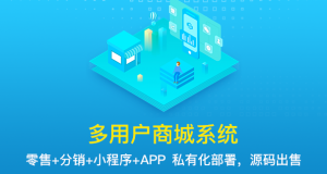 在广州如何定制多用户商城系统?有何优势?