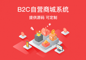 b2c商城系统的营销方法一般有哪些