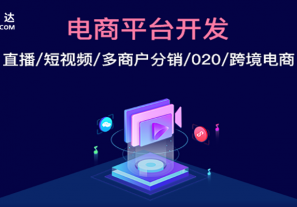 广州商城平台系统哪家好