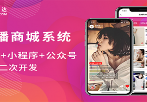 直播带货商城开发重点应当放到哪儿呢?