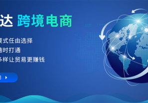 “新规下”的东南亚电商,B2B或成为新的主流模式