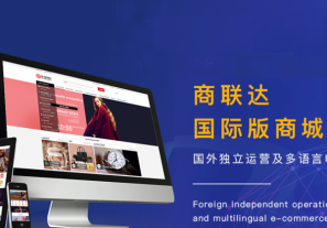 外贸商城搭建费用有哪些组成