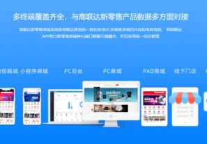 企业级商城系统制作哪家好