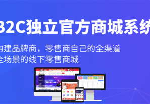 b2c商城系统开发费用受什么影响?