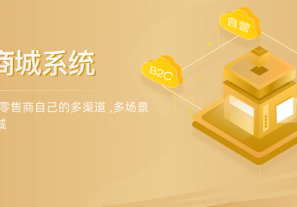 b2c商城系统的搭建注意要素