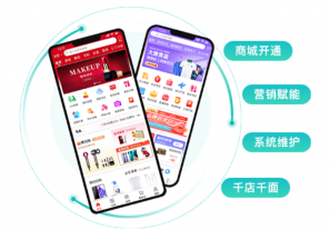 推荐一款基于java的saas多租户商城系统源码