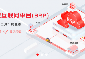 【案例推荐】印刷行业巨头B2B数字化升级,赋能业务高质量发展